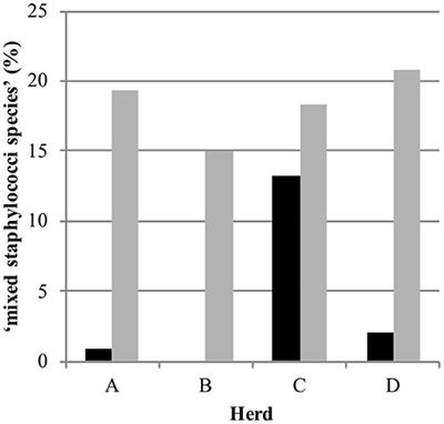 Non-aureus Staphylococci Species in the Teat Canal and Milk in Four Commercial Swiss Dairy Herds